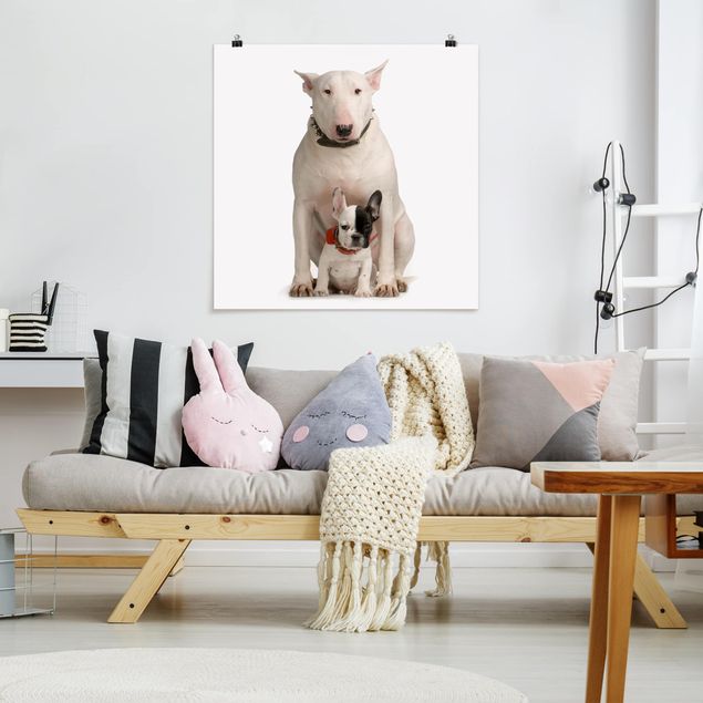 Decoración habitación infantil Bull Terrier and Friend