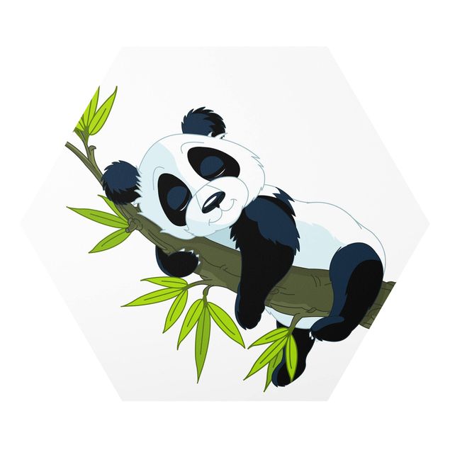 Cuadros naturaleza Sleeping Panda