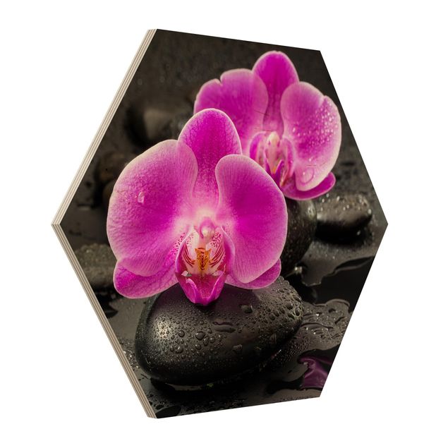 Cuadros de plantas naturales Pink Orchid Flowers On Stones With Drops