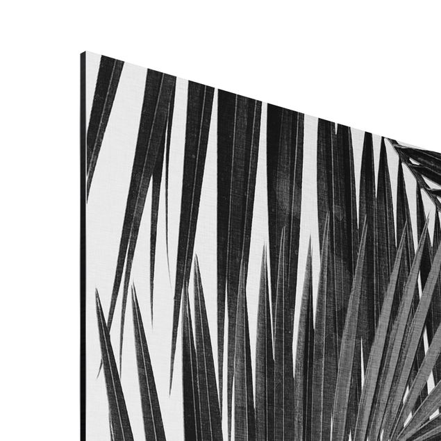 Cuadros famosos View Through Palm Leaves Black And White