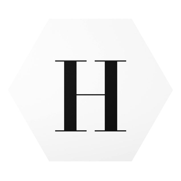Cuadros modernos Letter Serif White H