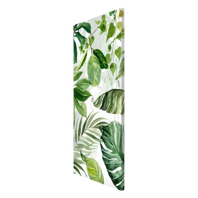 Cuadros de plantas Watercolour Tropical Leaves And Tendrils
