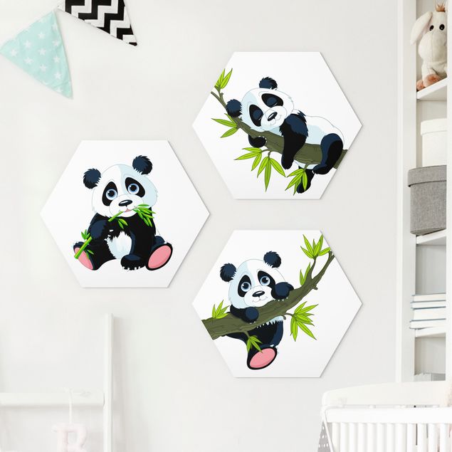 Cuadros de osos Panda set