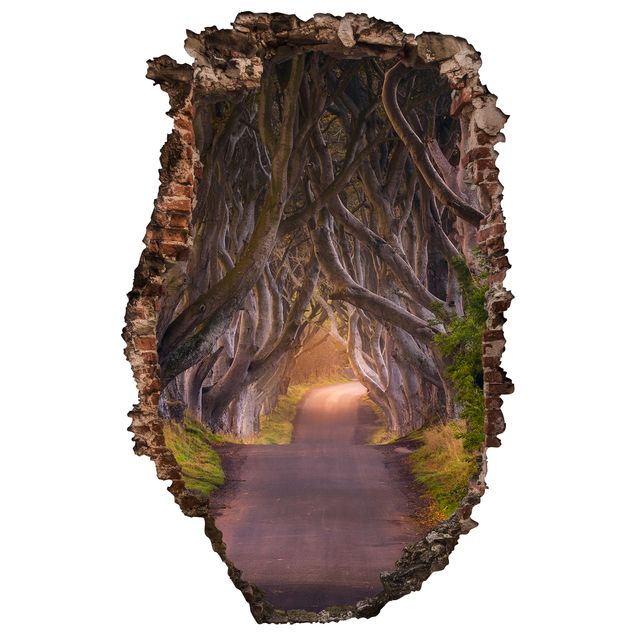 Vinil para pared 3d Tunnel Of Trees