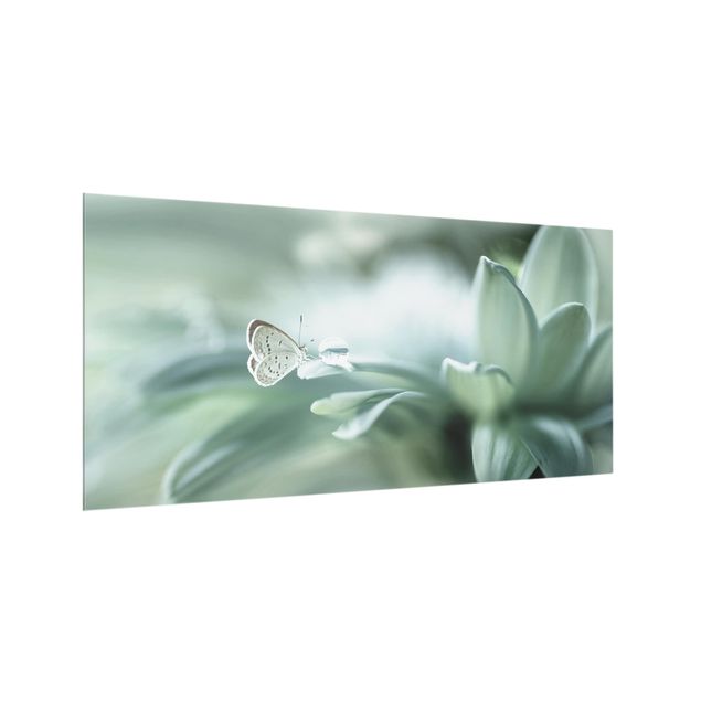 panel-antisalpicaduras-cocina Butterfly And Dew Drops In Pastel Green