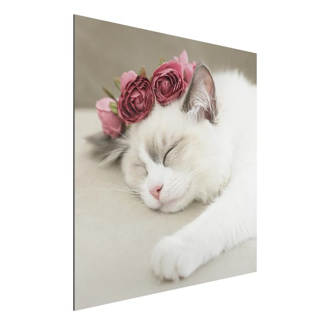 Decoración infantil pared Sleeping Cat with Roses