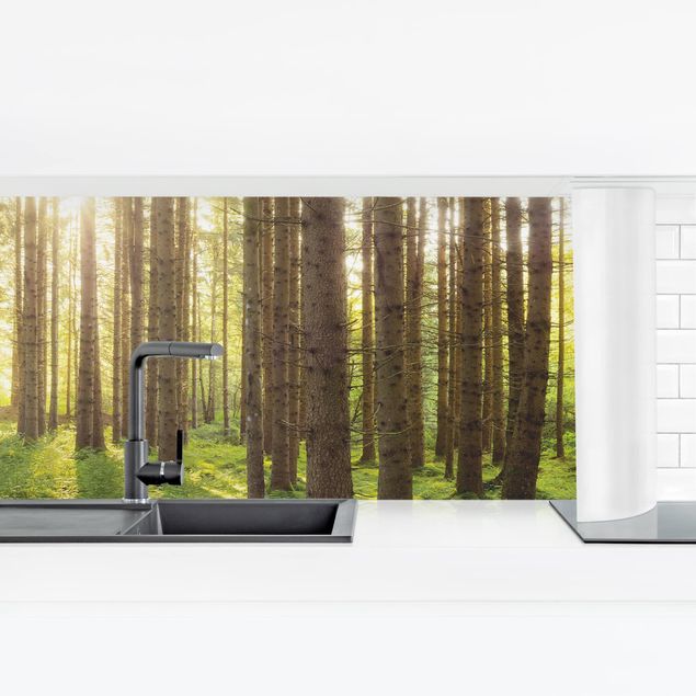 revestimiento pared cocina Sun Rays In Green Forest
