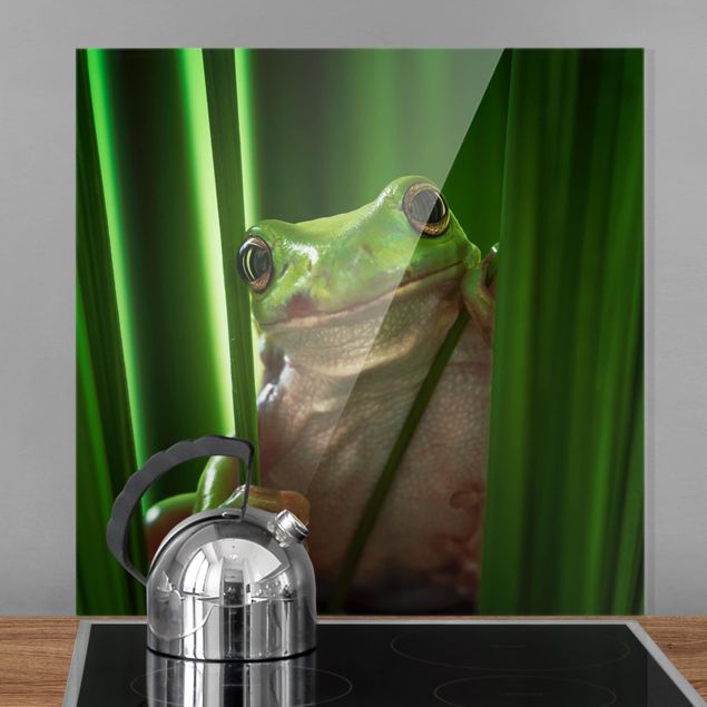 Decoración en la cocina Happy Frog