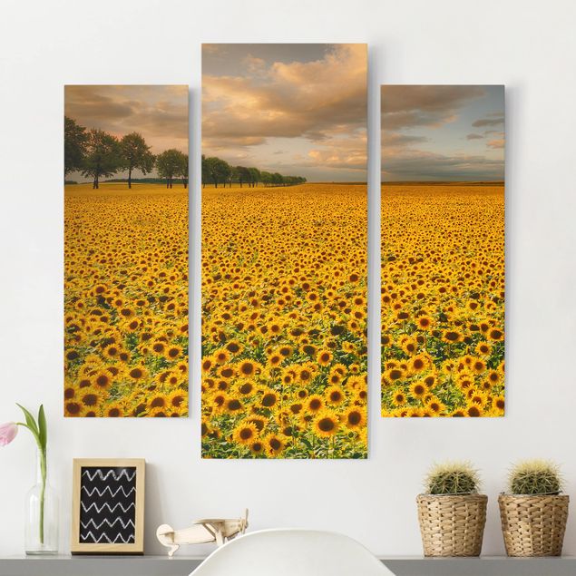 Cuadros de girasoles Field With Sunflowers