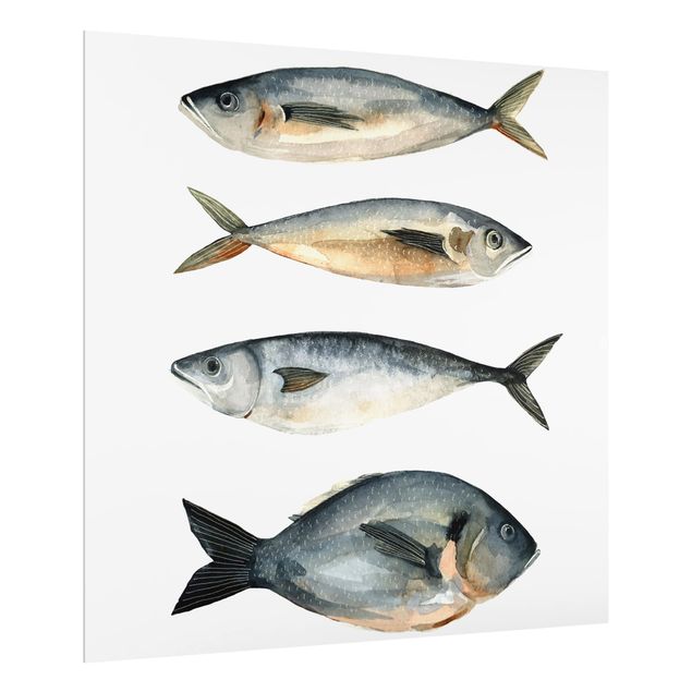 Glas Spritzschutz - Vier Fische in Aquarell I - Quadrat - 1:1