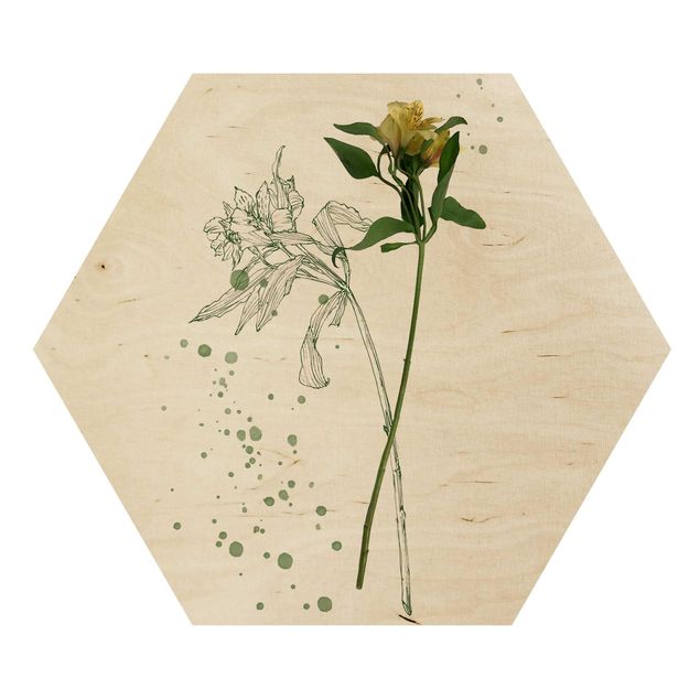 Hexagon Bild Holz - Botanisches Aquarell - Lilie