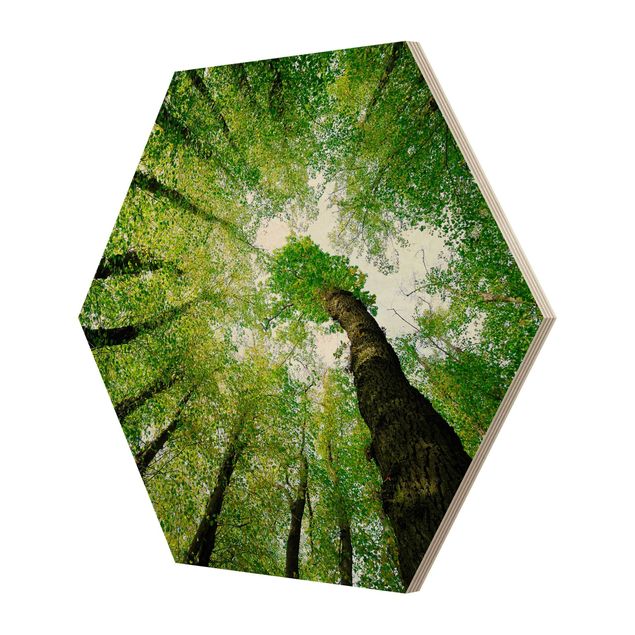Hexagon Bild Holz - Bäume des Lebens