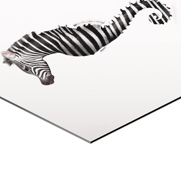 Cuadros de animales Seahorse With Zebra Stripes