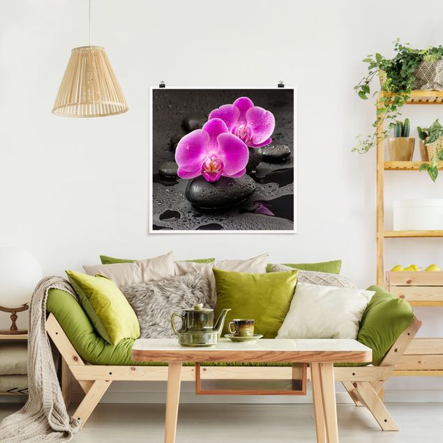 Decoración en la cocina Pink Orchid Flower On Stones With Drops