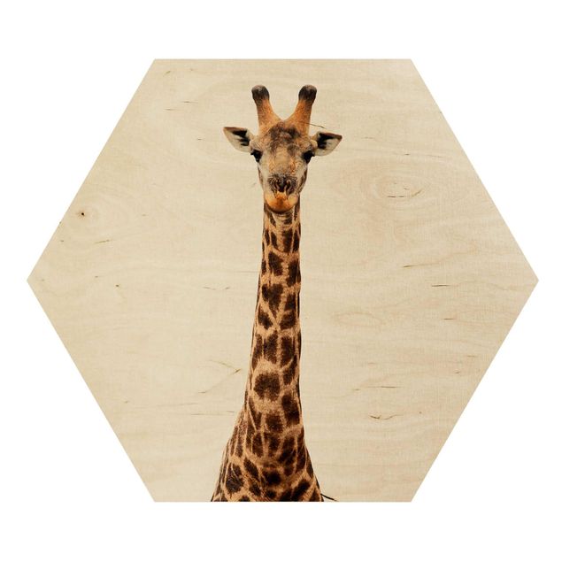 Hexagon Bild Holz - Giraffenkopf