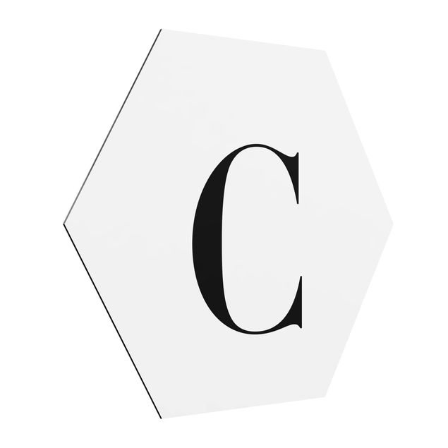 Cuadros modernos Letter Serif White C