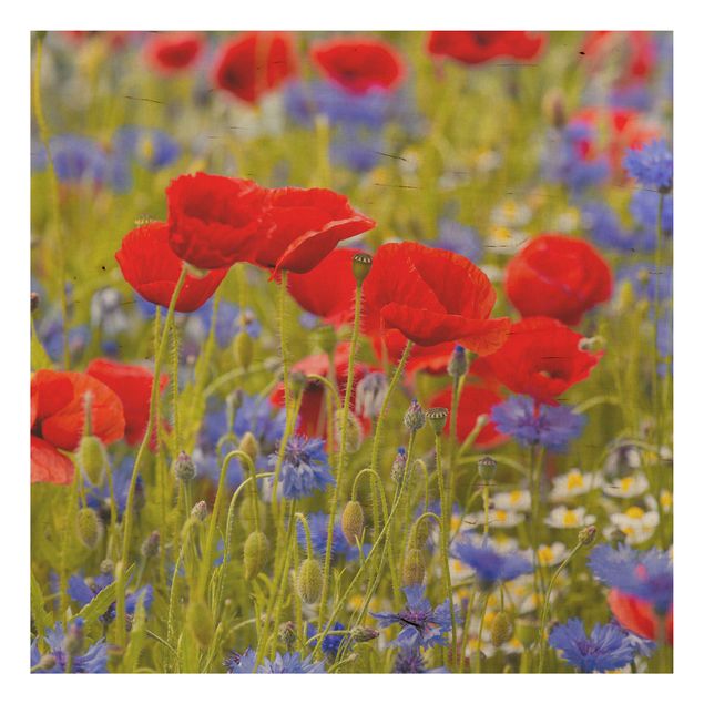 Cuadros de madera flores Summer Meadow With Poppies And Cornflowers