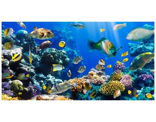 Vinilos para cristales animales Underwater Reef