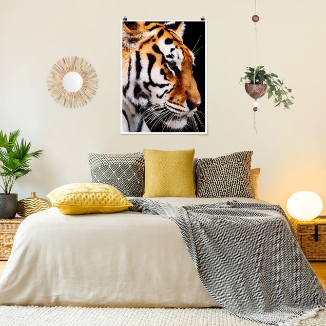 Cuadros de tigres Tiger Beauty