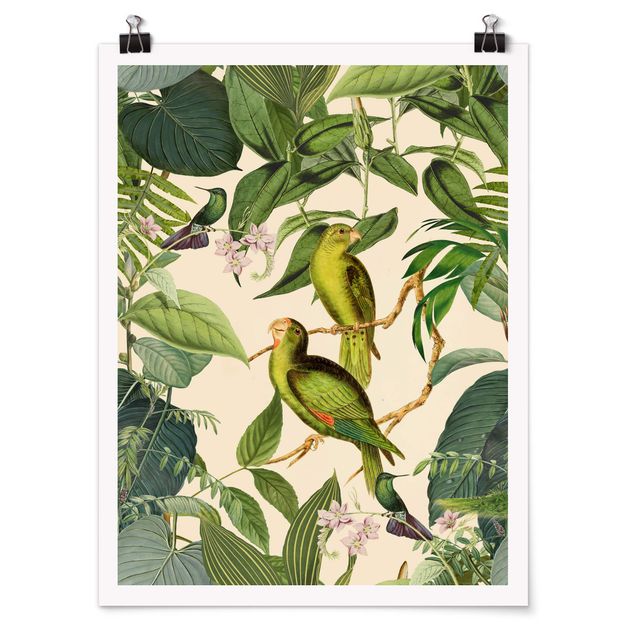 Cuadros de plantas naturales Vintage Collage - Parrots In The Jungle