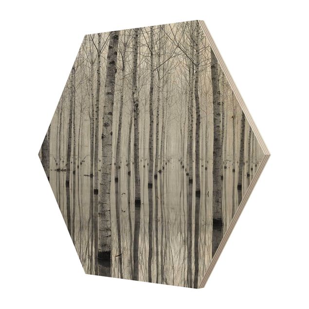 Hexagon Bild Holz - Birken im November
