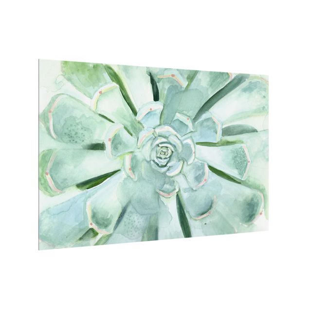 panel-antisalpicaduras-cocina Succulent Watercolor Bright