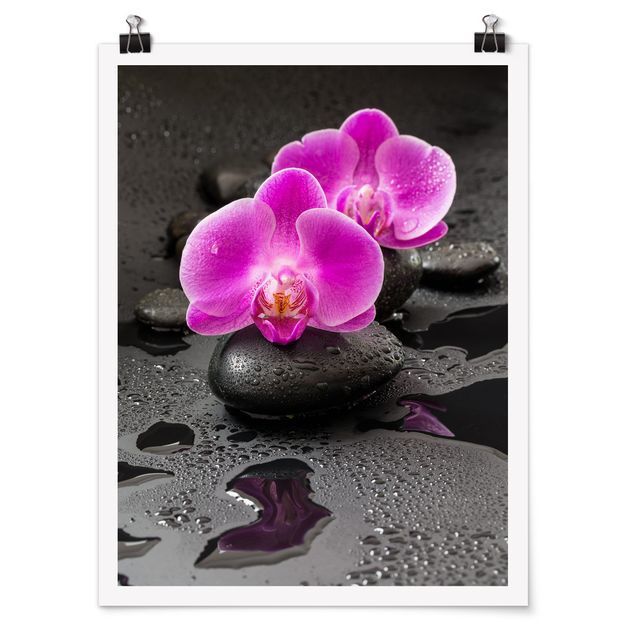 Cuadros plantas Pink Orchid Flower On Stones With Drops