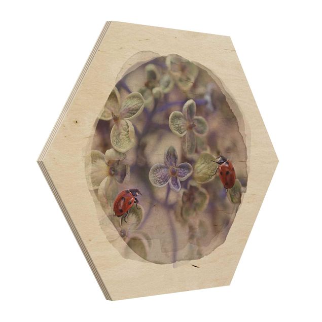 cuadros hexagonales WaterColours - Ladybugs In The Garden