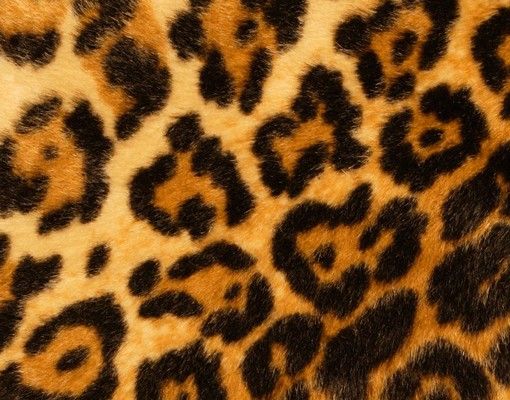 Buzón amarillo Jaguar Skin