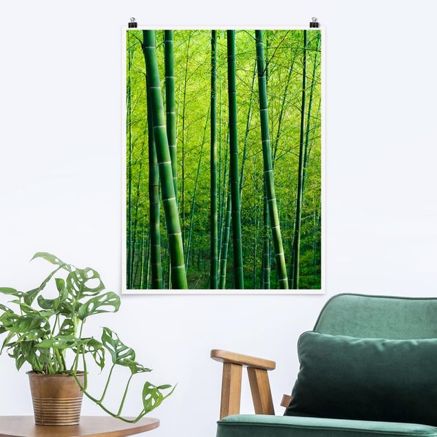 Decoración de cocinas Bamboo Forest