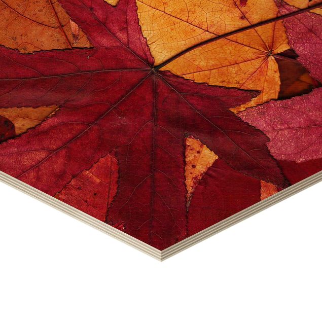 Hexagon Bild Holz - Coloured Leaves