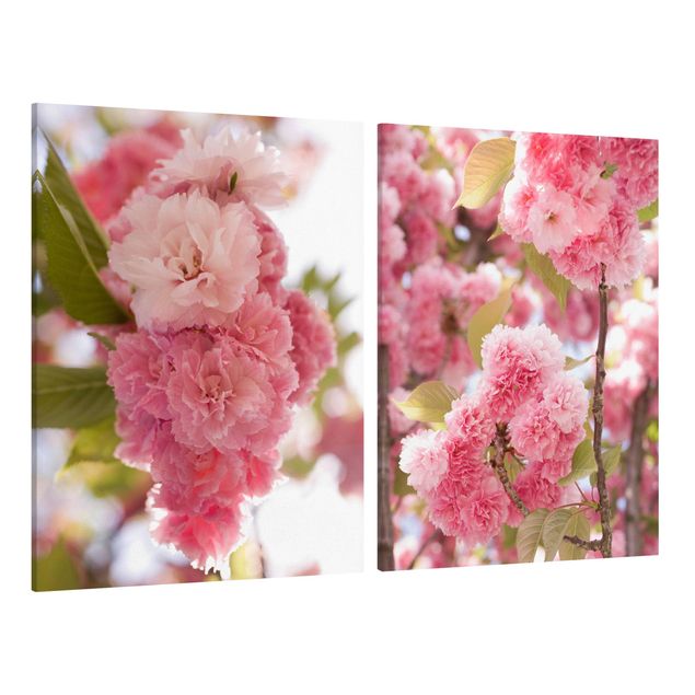 Cuadros de flores Japanese Cherry