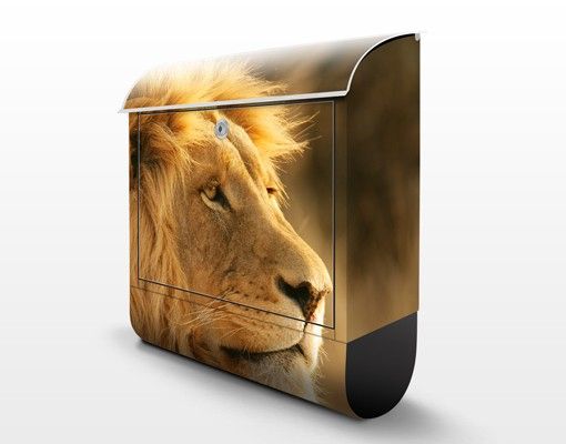 Buzón exterior King Lion