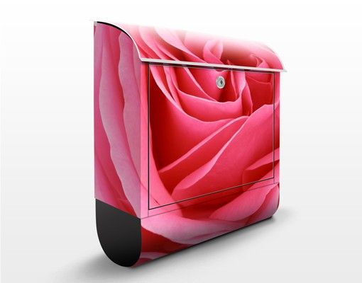Buzón flores Lustful Pink Rose