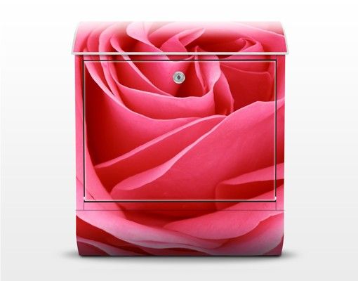 Buzón rosa Lustful Pink Rose