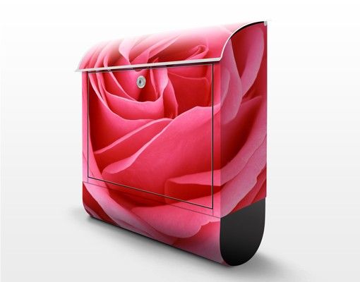 Buzones Lustful Pink Rose