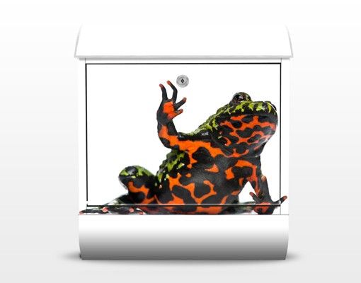 Buzón rojo Fire-bellied Toad