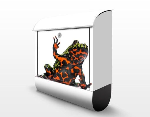 Buzones originales Fire-bellied Toad