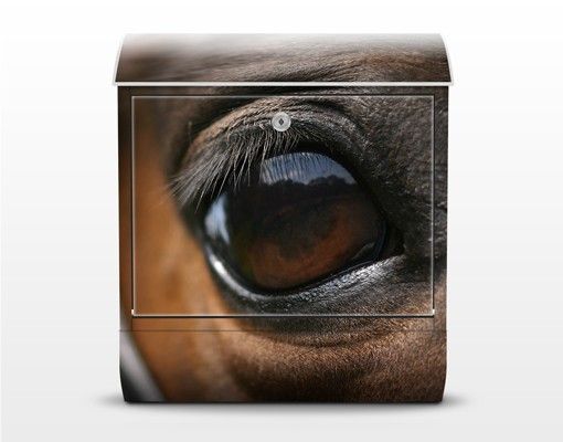 Buzón exterior marrón Horse Eye