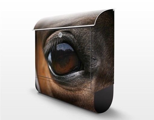 Buzones Horse Eye