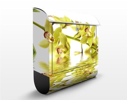 Buzón flores Elegant Orchid Waters