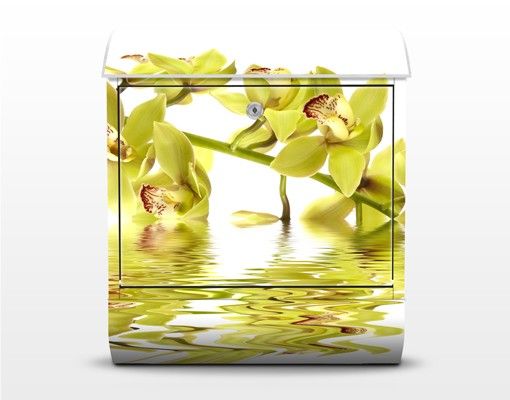 Buzón amarillo Elegant Orchid Waters