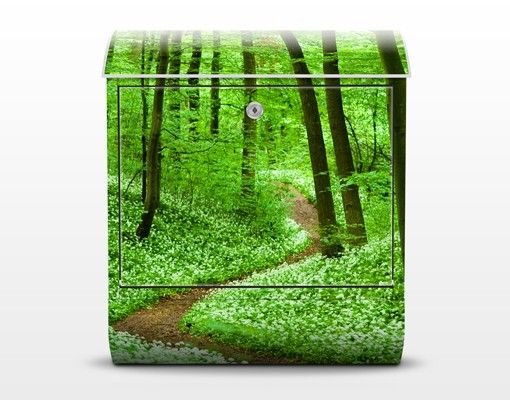 Buzón verde Romantic Forest Track