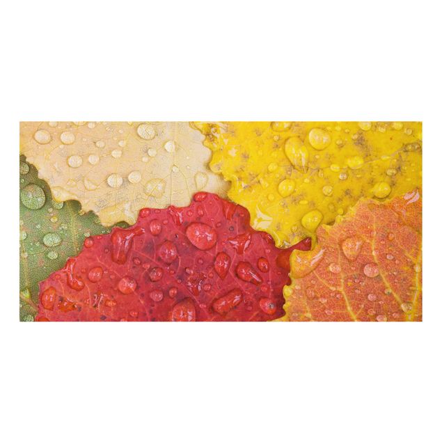 panel-antisalpicaduras-cocina Water Drops On Colorful Leaves