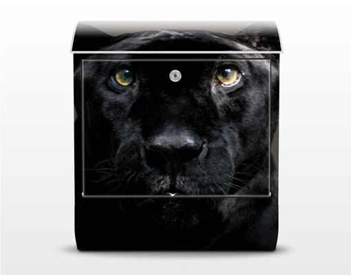 Buzón negro Black Puma