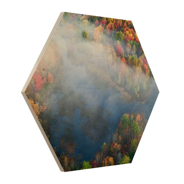 Cuadros hexagonales Aerial View - Autumn Symphony