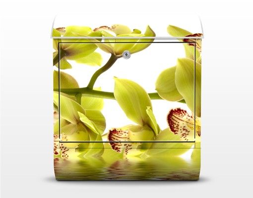 Buzón exterior Splendid Orchid Waters