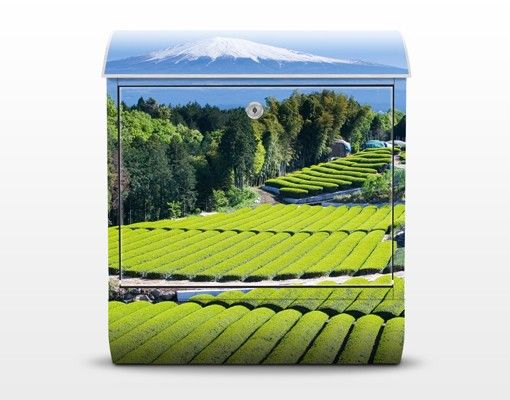 Buzón verde correos Tea Fields In Front Of The Fuji
