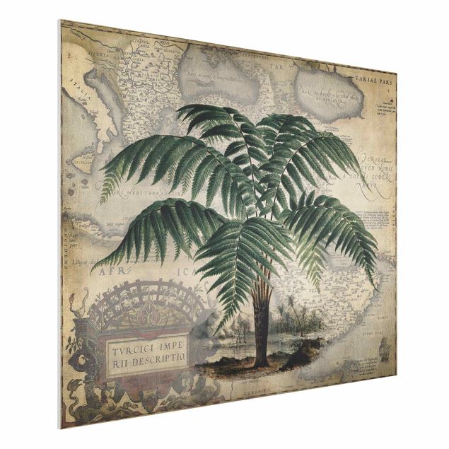 Decoración de cocinas Vintage Collage - Palm And World Map