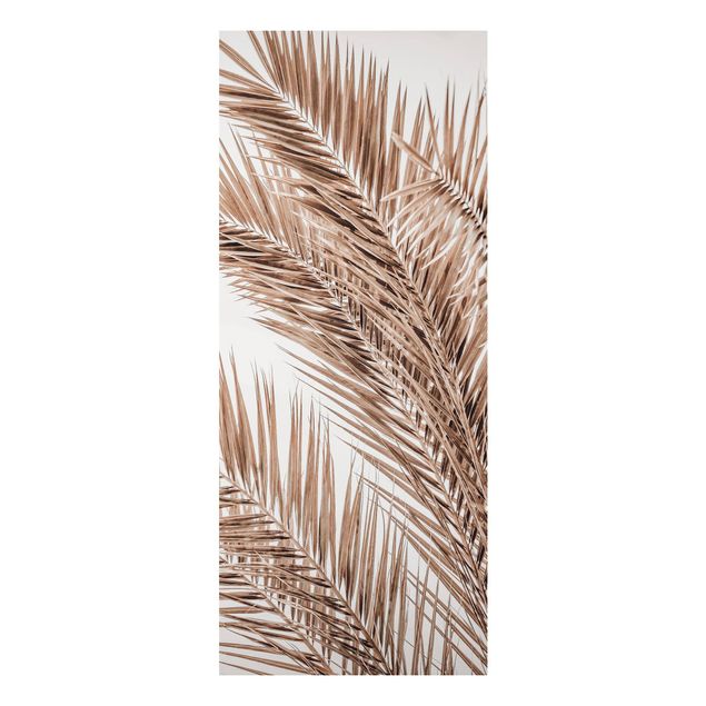 Cuadro con paisajes Bronze Coloured Palm Fronds